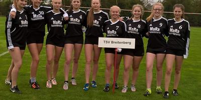 Deutsche Faustball-Meisterschaft 2o16 der weiblichen U16 in Wangersen